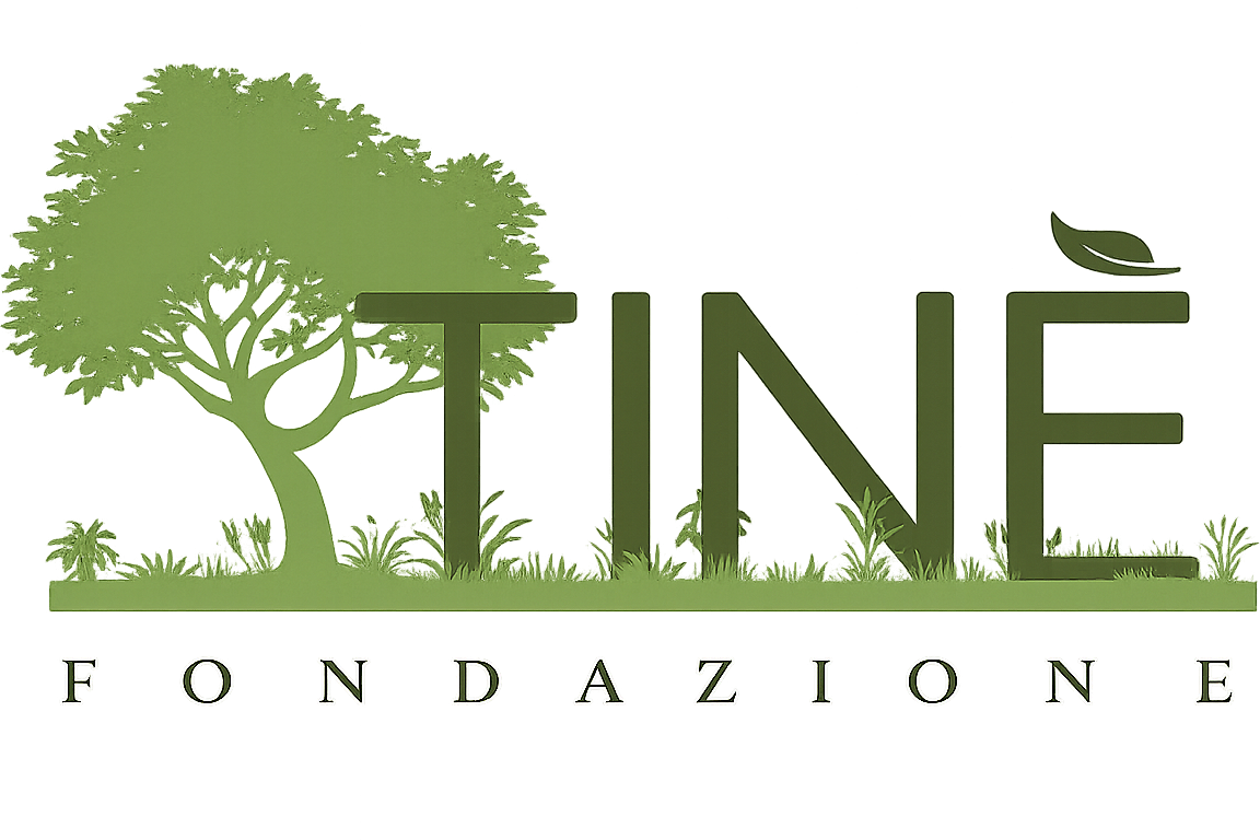 Fondazione Tin&egrave;